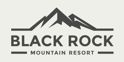 Logo partner